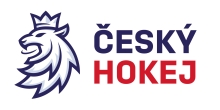 Český hokej